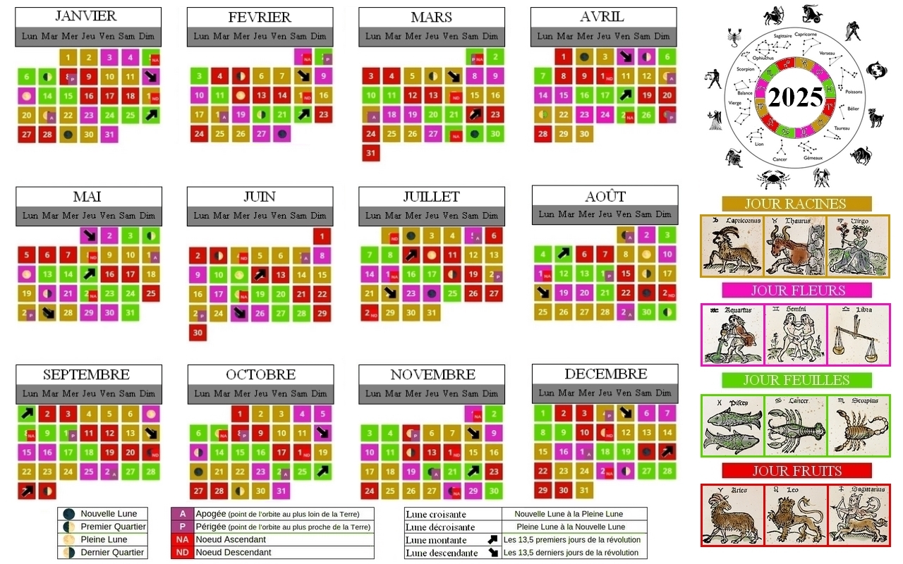 966-Calendrier 2025.jpeg