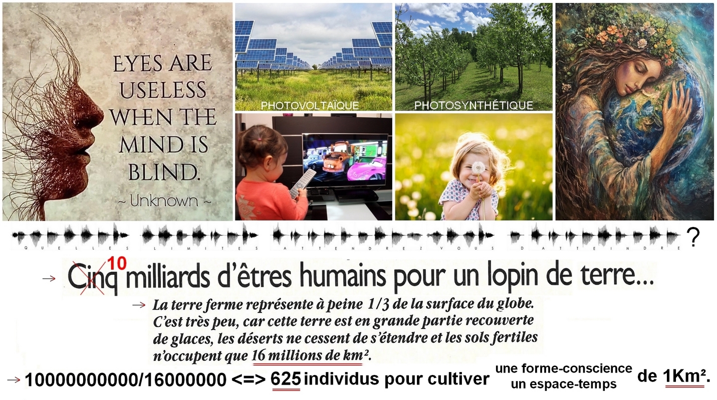 972-Limites.jpeg