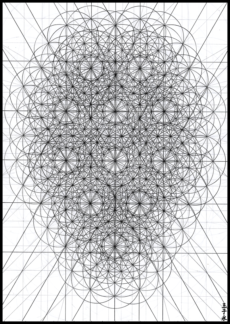 1101-17-02-2026-En phase.jpeg