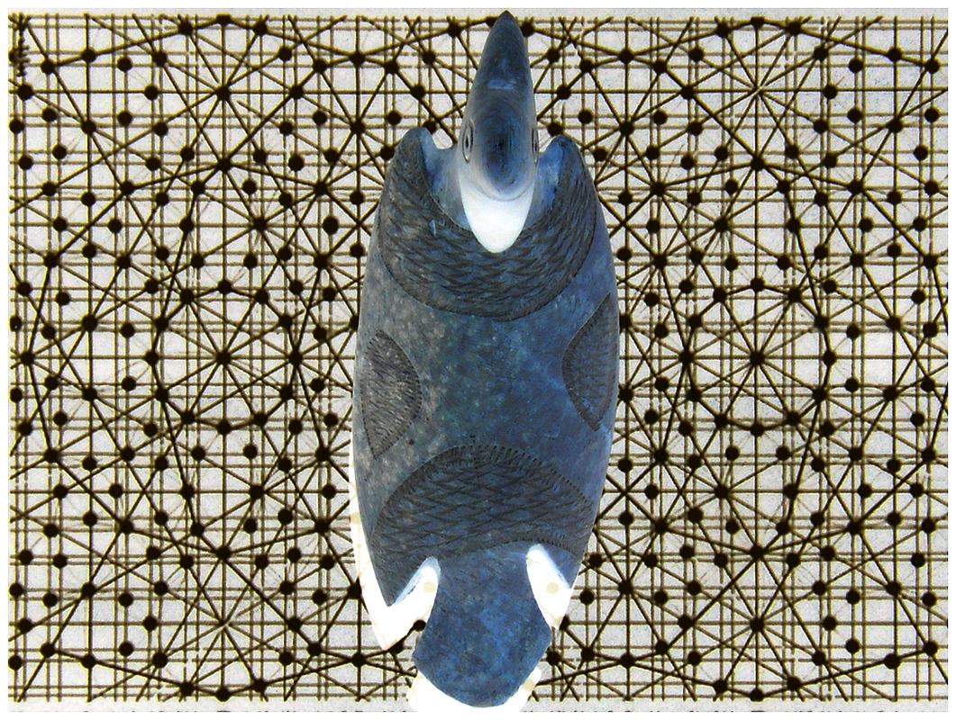 Drôle d'Oiseau.jpeg